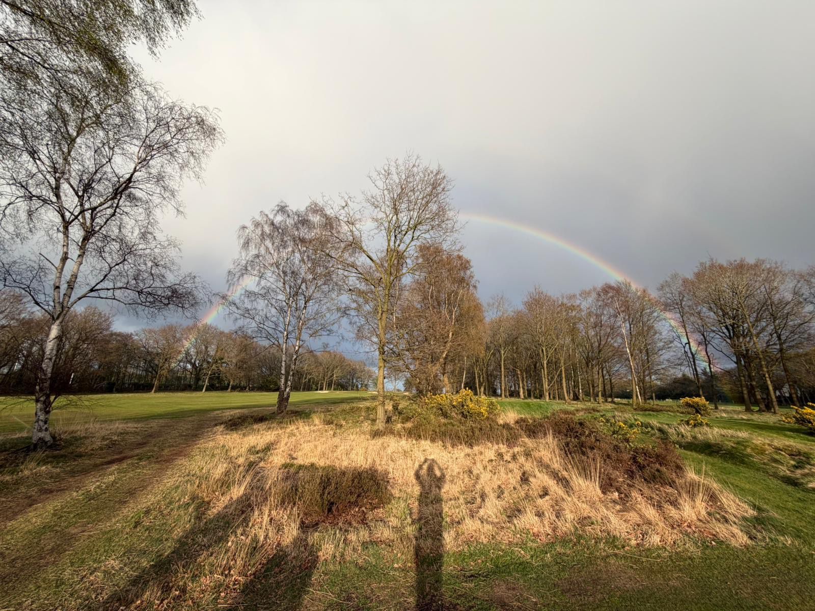 Sowena Cup Final 2025/26 at Alwoodley Golf Club